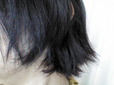 オルビス ディフェンセラ 髪 頭皮